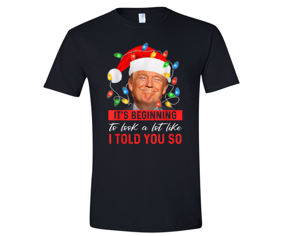 Festive Trump 2024 Victory Hoodie - 'I Told You So' Christmas Edition