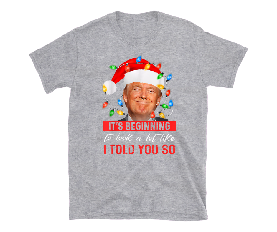 Festive Trump 2024 Victory Hoodie - 'I Told You So' Christmas Edition